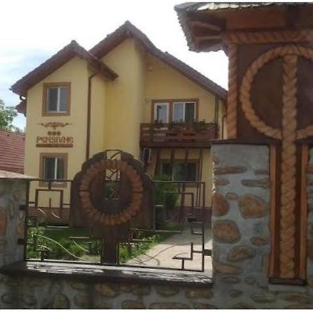 Pensiunea Pentru Tine Prietene Arcani Room photo
