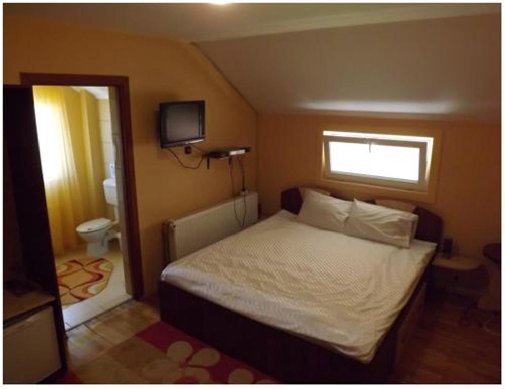 Pensiunea Pentru Tine Prietene Arcani Room photo