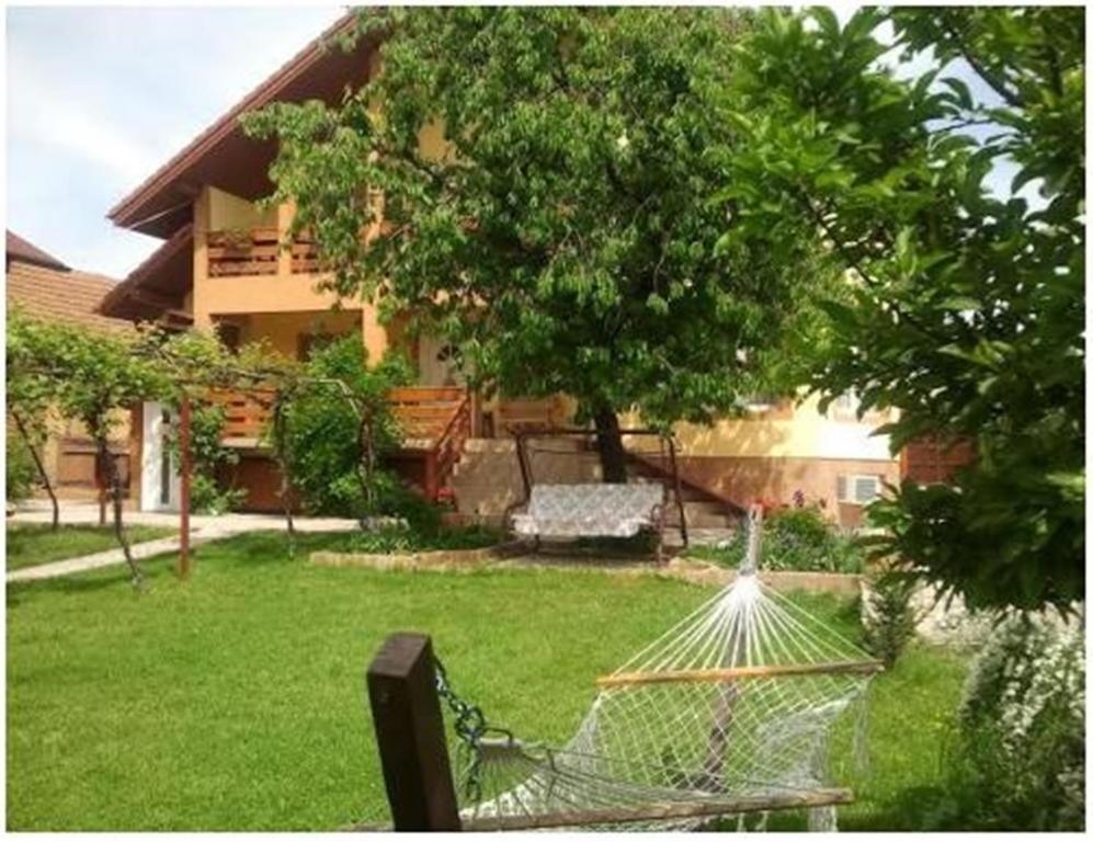Pensiunea Pentru Tine Prietene Arcani Room photo