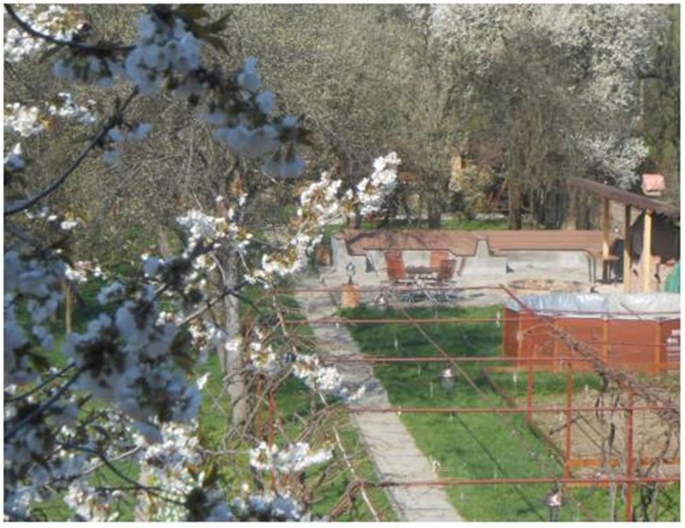 Pensiunea Pentru Tine Prietene Arcani Room photo